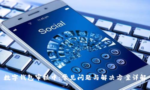 数字钱包审核中:常见问题与解决方案详解