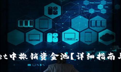 如何在TPWallet中撤销资金池?详细指南与常见问题解答
