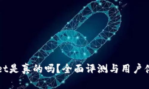 TPWallet是真的吗?全面评测与用户体验分析