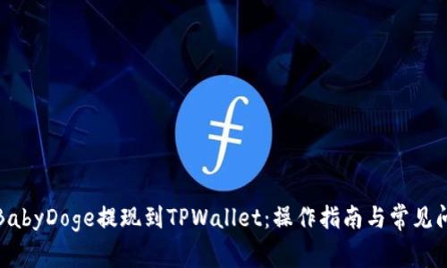 如何将BabyDoge提现到TPWallet:操作指南与常见问题解答