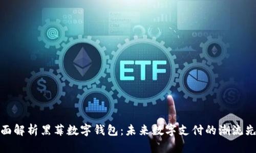 全面解析黑莓数字钱包:未来数字支付的潮流先锋