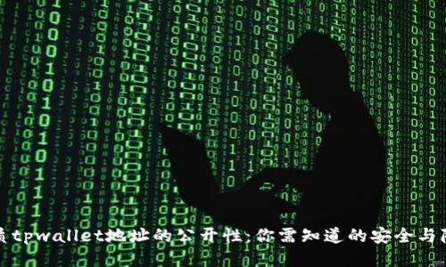 优质tpwallet地址的公开性:你需知道的安全与隐私