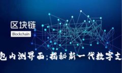 数字钱包内测界面：揭秘新一代数字支