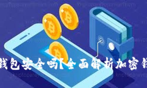 海外加密钱包安全吗?全面解析加密钱包安全性