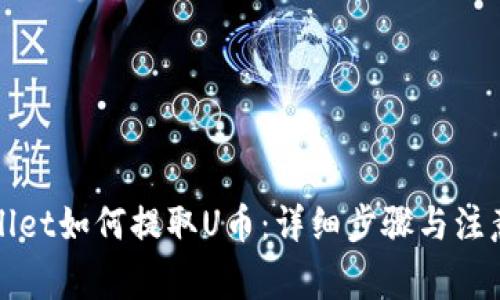 TPWallet如何提取U币:详细步骤与注意事项