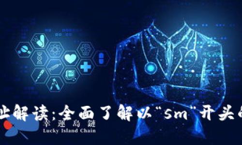 区块链钱包地址解读:全面了解以“sm”开头的地址及其应用