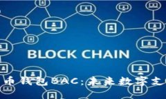 央行数字货币钱包BAC：未来数字支付的
