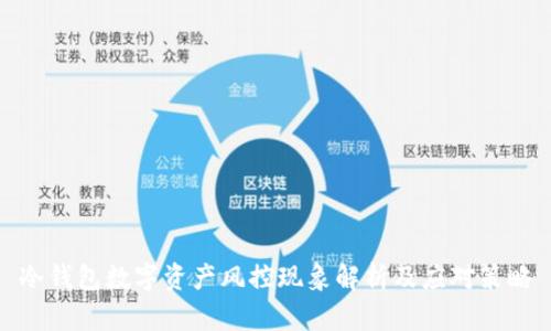 冷钱包数字资产风控现象解析及应对策略