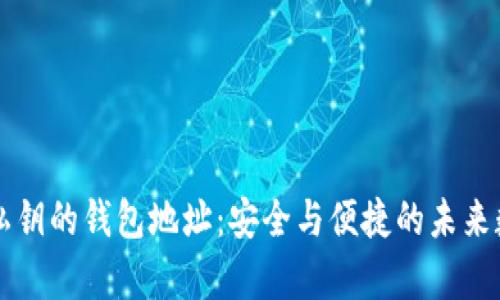 区块链没有私钥的钱包地址：安全与便捷的未来数字资产管理