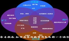 数字钱包命名指南：如何为您的数字钱
