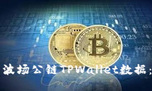 如何查看波场公链TPWallet数据:详细指南
