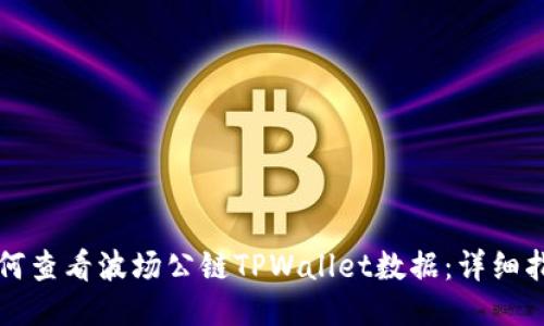 如何查看波场公链TPWallet数据:详细指南
