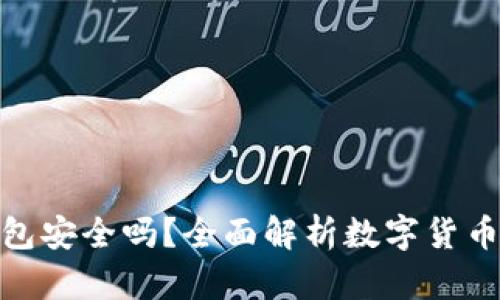 数字货币账户钱包安全吗?全面解析数字货币的安全性与风险