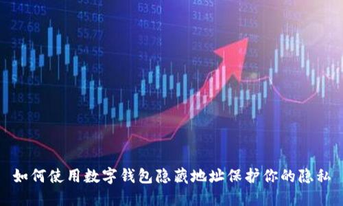 如何使用数字钱包隐藏地址保护你的隐私