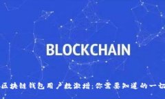 区块链钱包用户数激增：你需要知道的