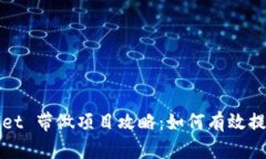 TPWallet 带做项目攻略：如何有效提升收