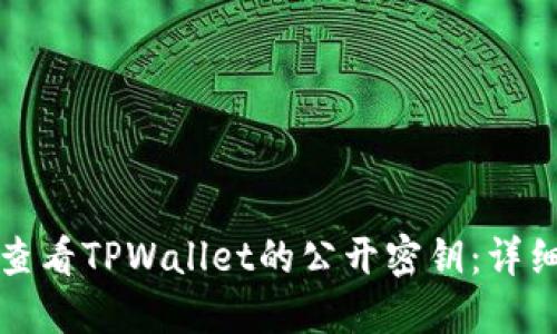 如何查看TPWallet的公开密钥：详细指南