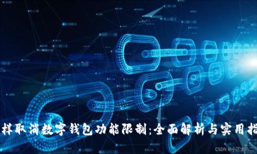 怎样取消数字钱包功能限制：全面解析与实用指南