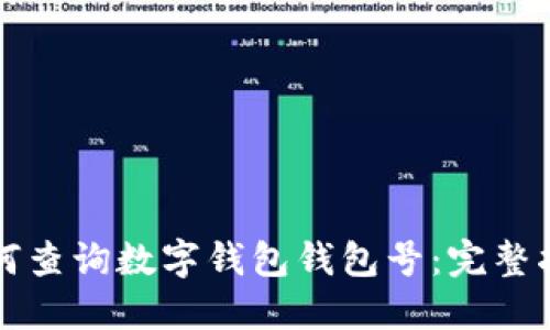 如何查询数字钱包钱包号：完整指南