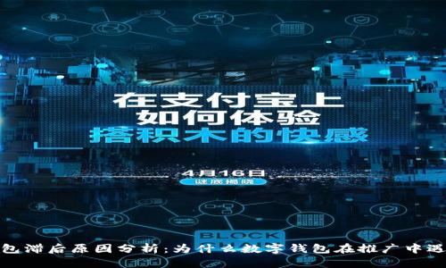 数字钱包滞后原因分析：为什么数字钱包在推广中遇到瓶颈