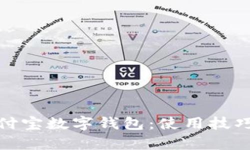 全面解析支付宝数字钱包：使用技巧与功能优势