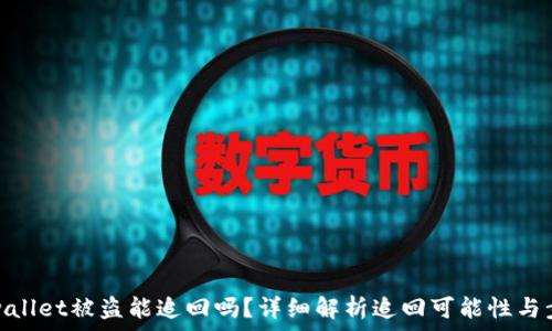   
tpwallet被盗能追回吗？详细解析追回可能性与步骤