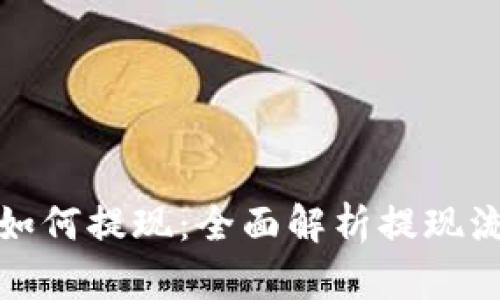 数字钱包如何提现：全面解析提现流程与技巧