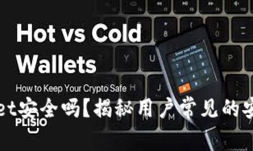 TPWallet安全吗？揭秘用户常见的安全疑虑