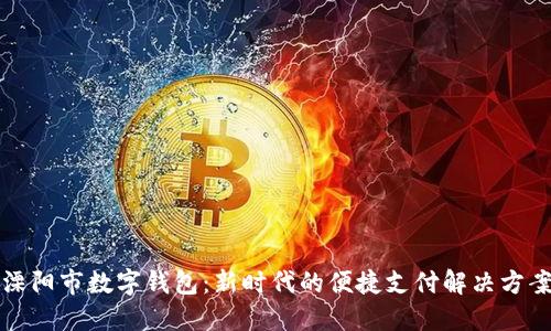 溧阳市数字钱包：新时代的便捷支付解决方案