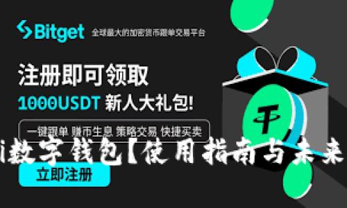 什么是Newifi数字钱包？使用指南与未来发展趋势解析