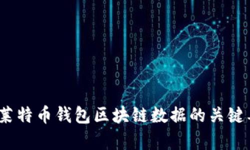 全面分析：莱特币钱包区块链数据的关键要素与应用