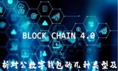 全面解析对公数字钱包的几种类型及其