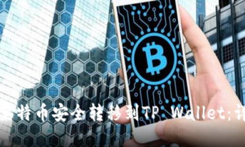 如何将莱特币安全转移到TP Wallet：详细指南