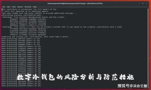数字冷钱包的风险分析与防范措施