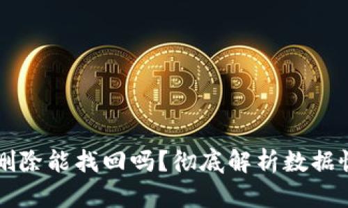 TPWallet已删除能找回吗？彻底解析数据恢复的可能性