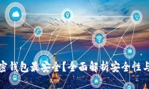 什么加密钱包最安全？全面解析安全性与实用性