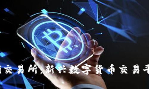 tpwalletavi交易所：新兴数字货币交易平台前景分析