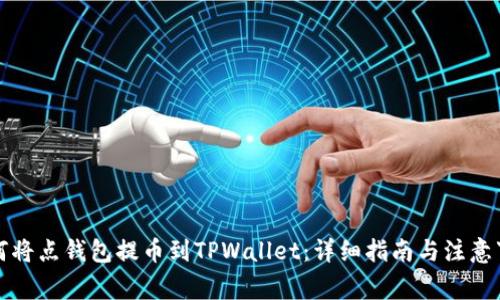 如何将点钱包提币到TPWallet：详细指南与注意事项