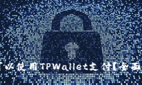 印度是否可以使用TPWallet支付？全面解析与指南