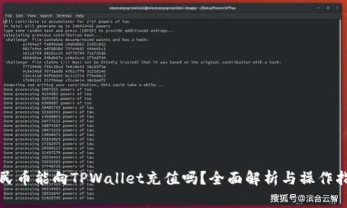 人民币能向TPWallet充值吗？全面解析与操作指南