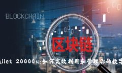 TPWallet 20000u：如何高效利用和管理你的