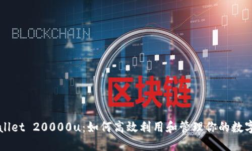 TPWallet 20000u：如何高效利用和管理你的数字资产