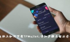 电脑上如何下载TPWallet：详细步骤与解