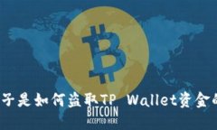 骗子是如何盗取TP Wallet资金的？