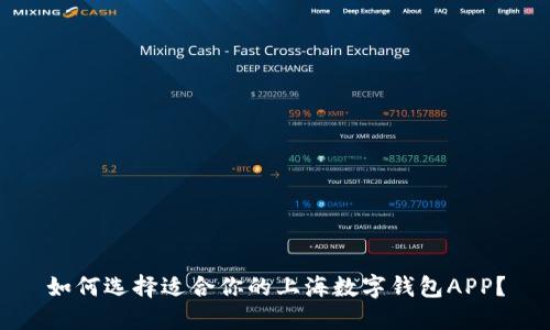 如何选择适合你的上海数字钱包APP？