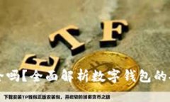 网站数字钱包安全吗？全面解析数字钱包的安全