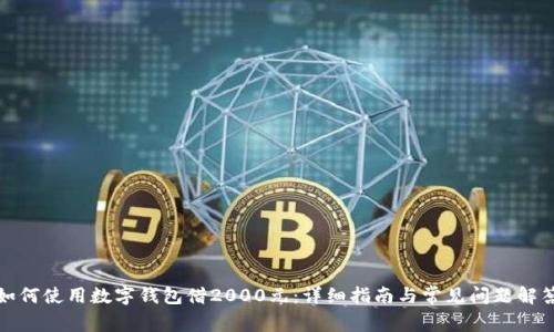 如何使用数字钱包借2000元：详细指南与常见问题解答