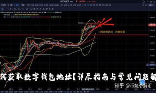 如何获取数字钱包地址？详尽指南与常见问题解答