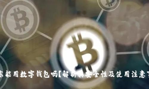 京东能用数字钱包吗？解析其安全性及使用注意事项