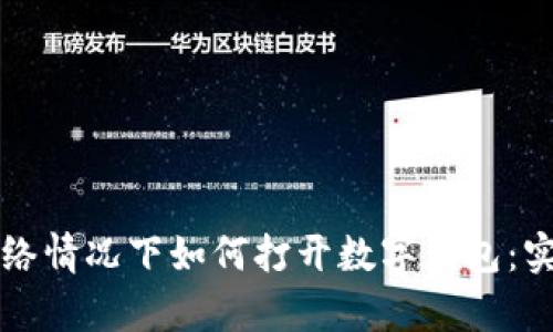 没有网络情况下如何打开数字钱包：实用指南